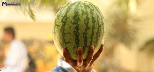 娱乐圈大瓜可以吃吗,揭秘明星幕后故事，一网打尽娱乐热点